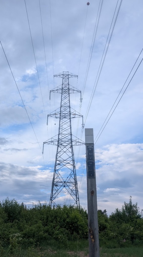 Befintlig kraftledning i Alfta med 400 kV och 220 kV i samma stolpe